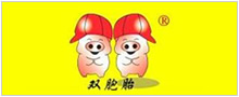 雙胞胎集團